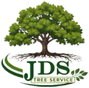 JDS Tree Service
